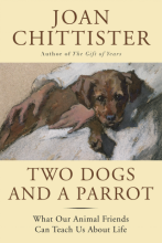Two Dogs and a Parrot: What Our Animal Friends Can Teach Us About Life Two Dogs and a Parrot: What Our Animal Friends Can Teach Us About Life