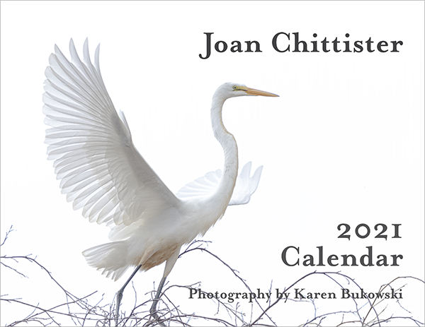 2021 Joan Chittister Calendar Cover