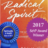 Radical Spirit by Joan Chittister