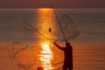 Bubble on lake